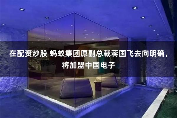 在配资炒股 蚂蚁集团原副总裁蒋国飞去向明确，将加盟中国电子