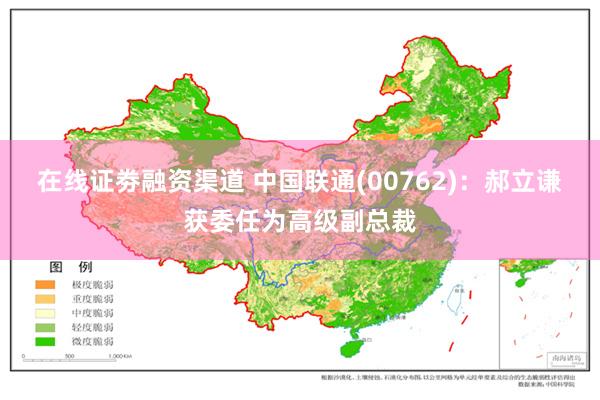 在线证劵融资渠道 中国联通(00762)：郝立谦获委任为高级副总裁