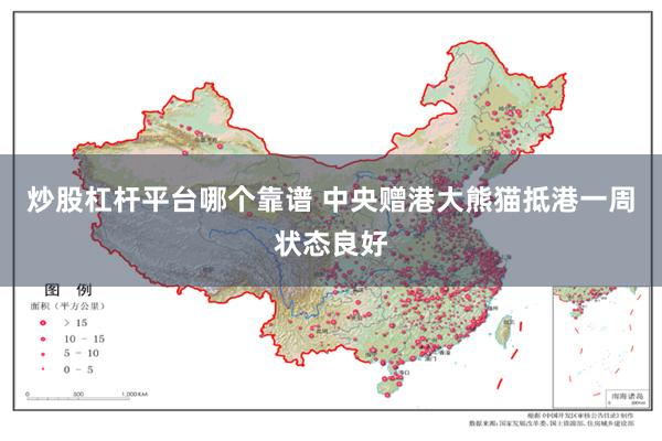 炒股杠杆平台哪个靠谱 中央赠港大熊猫抵港一周状态良好