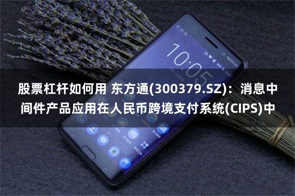 股票杠杆如何用 东方通(300379.SZ)：消息中间件产品应用在人民币跨境支付系统(CIPS)中