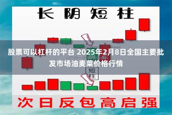 股票可以杠杆的平台 2025年2月8日全国主要批发市场油麦菜价格行情