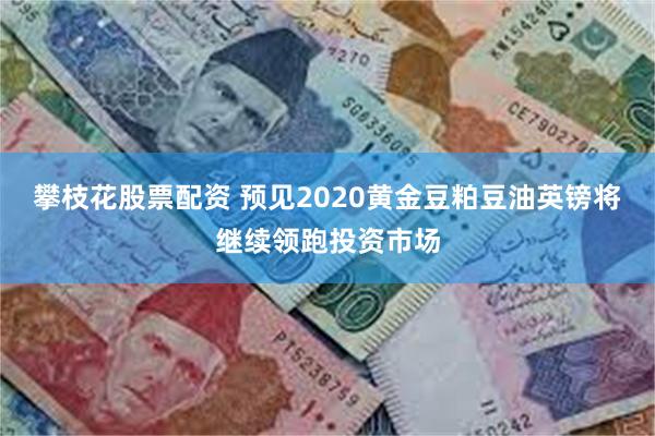 攀枝花股票配资 预见2020黄金豆粕豆油英镑将继续领跑投资市场