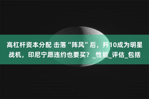 高杠杆资本分配 击落“阵风”后，歼10成为明星战机，印尼宁愿违约也要买？_性能_评估_包括